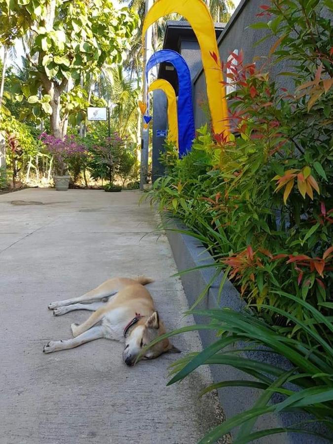 Hotel Mias Jungle House Lovina Zewnętrze zdjęcie