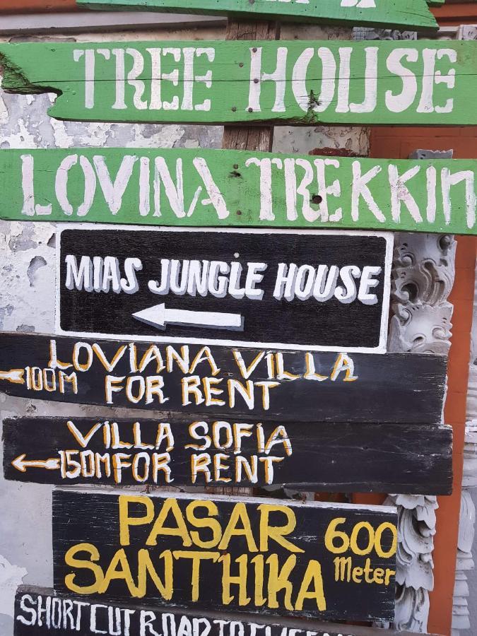 Hotel Mias Jungle House Lovina Zewnętrze zdjęcie
