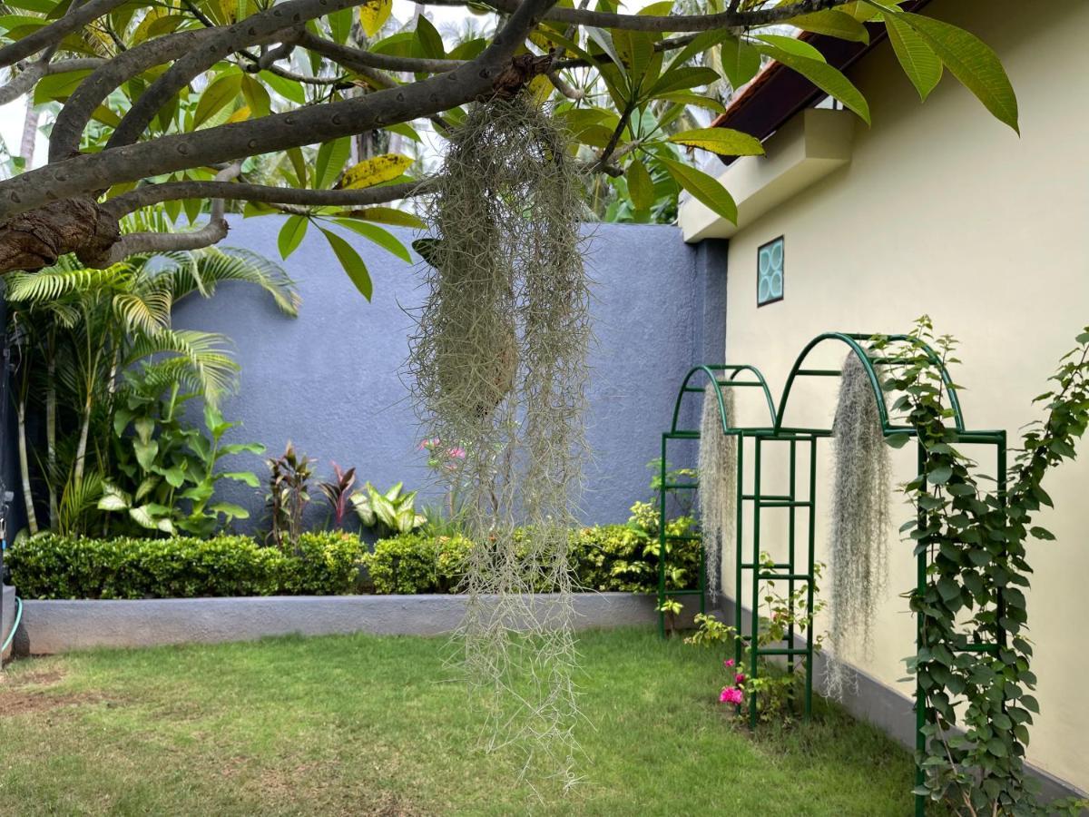 Hotel Mias Jungle House Lovina Zewnętrze zdjęcie