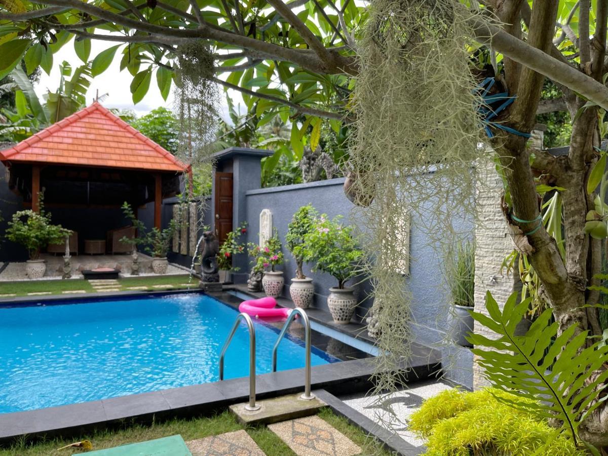 Hotel Mias Jungle House Lovina Zewnętrze zdjęcie